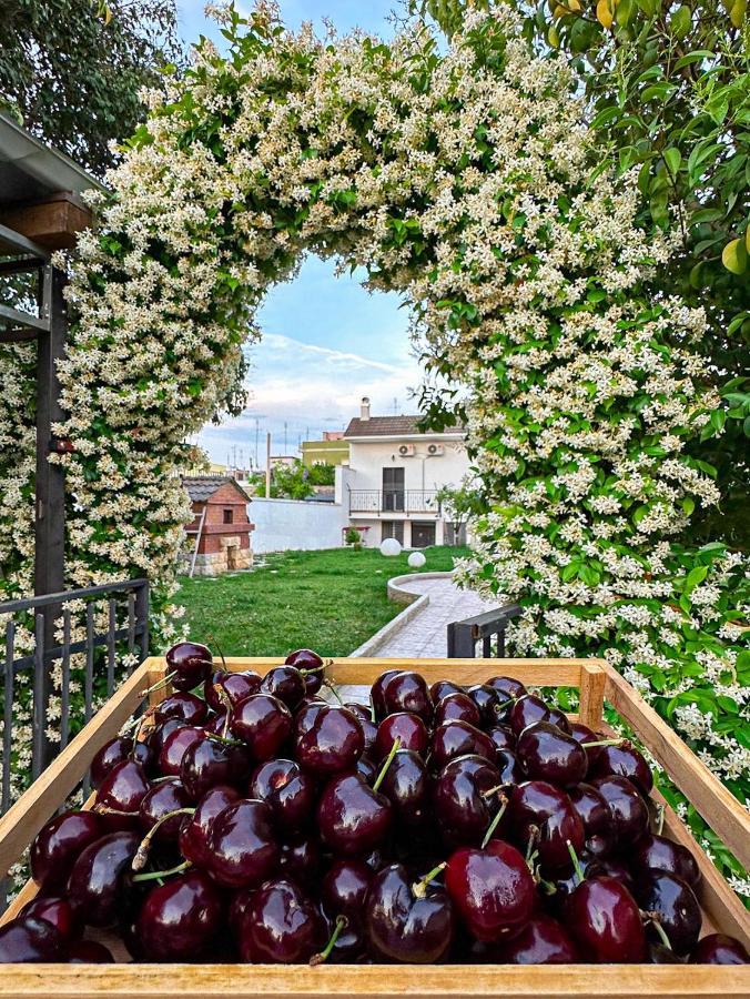Villa Ardigo - Camera O Appartamento Барі Екстер'єр фото